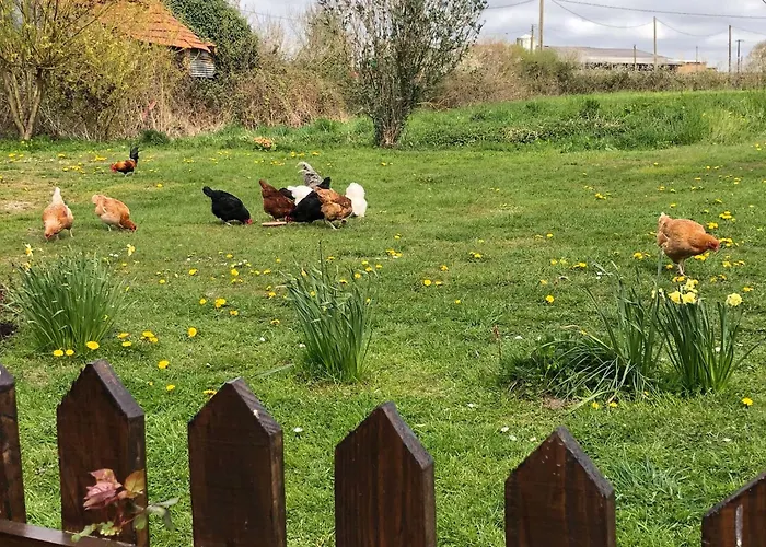 The Old Farm * Amfreville (Manche)